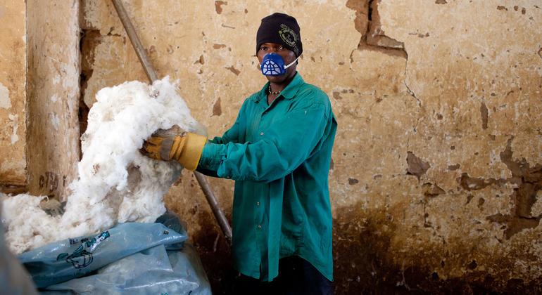 يساهم إنتاج القطن بشكل كبير في اقتصاد مالي على الرغم من الظروف التجارية الصعبة في كثير من الأحيان. يساهم إنتاج القطن بشكل كبير في اقتصاد مالي على الرغم من الظروف التجارية الصعبة في كثير من الأحيان.